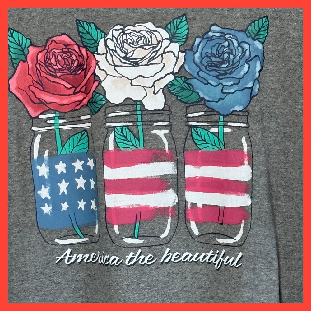 NWOT Pivotal Partners America the Beautiful Graphic T-Shirt Gray Mens Large Rose - Picture 2 of 5
